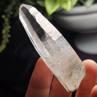 Ganesh Himal Quartz Crystal with Green Chlorite (70mm x20mm): Sacred Himalayan Crystal