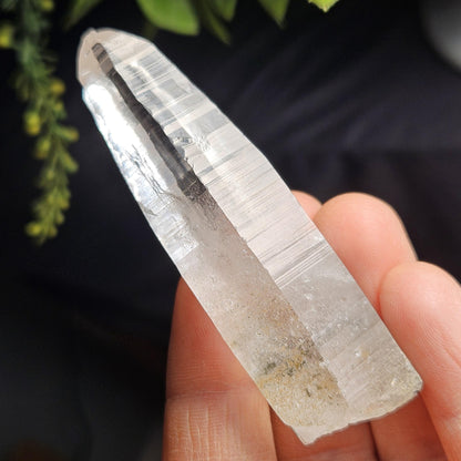 Ganesh Himal Quartz Crystal with Green Chlorite (70mm x20mm): Sacred Himalayan Crystal