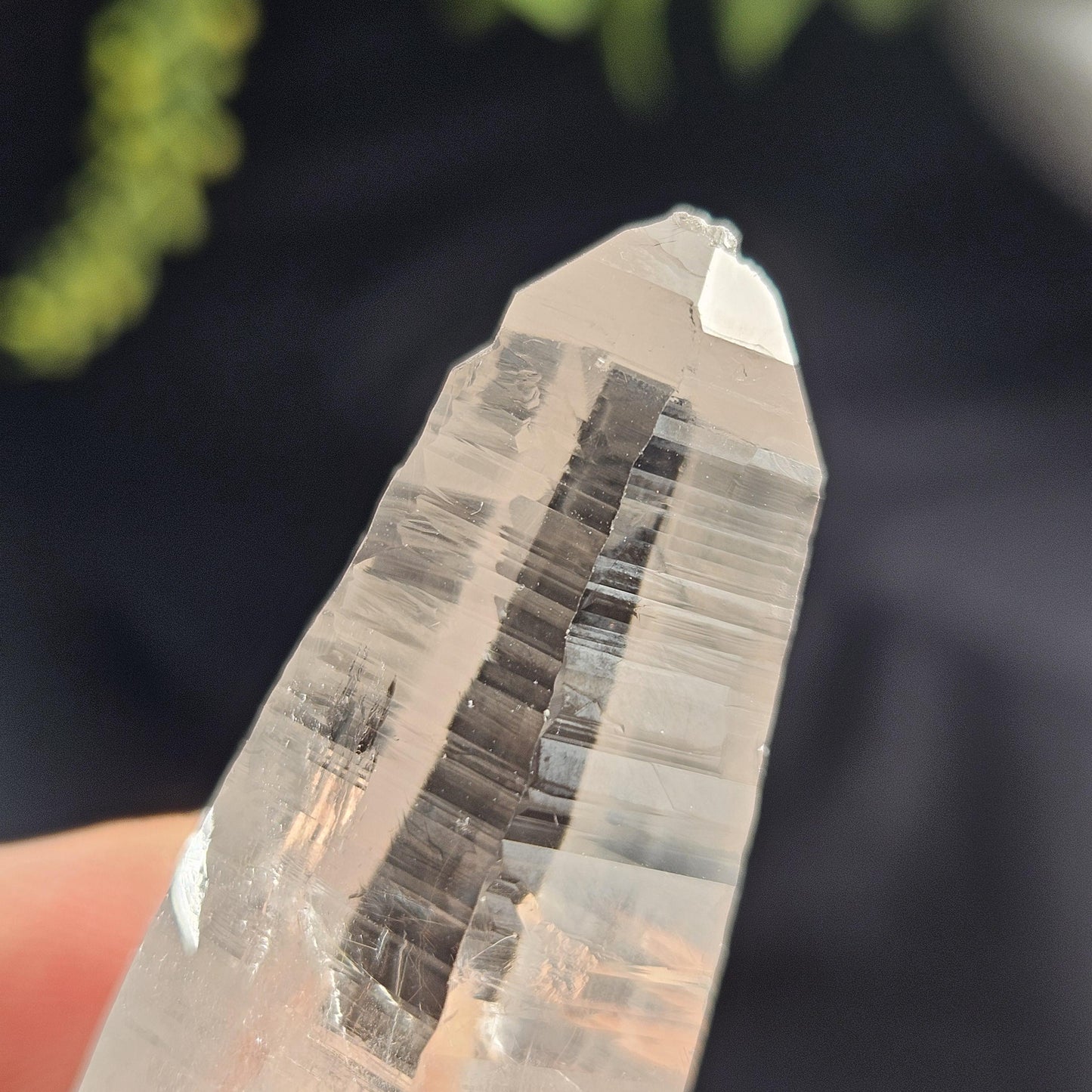 Ganesh Himal Quartz Crystal with Green Chlorite (70mm x20mm): Sacred Himalayan Crystal