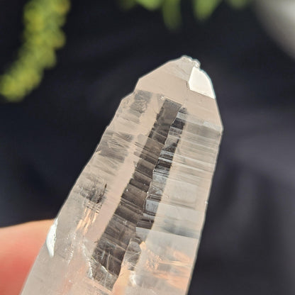 Ganesh Himal Quartz Crystal with Green Chlorite (70mm x20mm): Sacred Himalayan Crystal