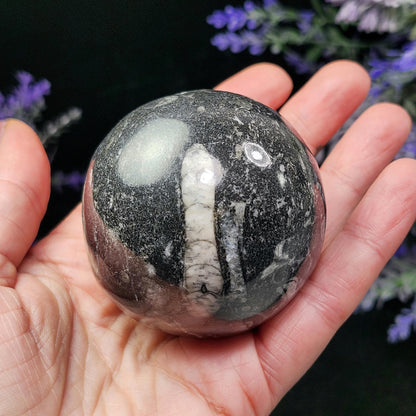 Orthoceras Fossil Sphere, 1.75