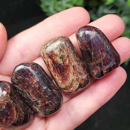 Polished Garnet Crystal