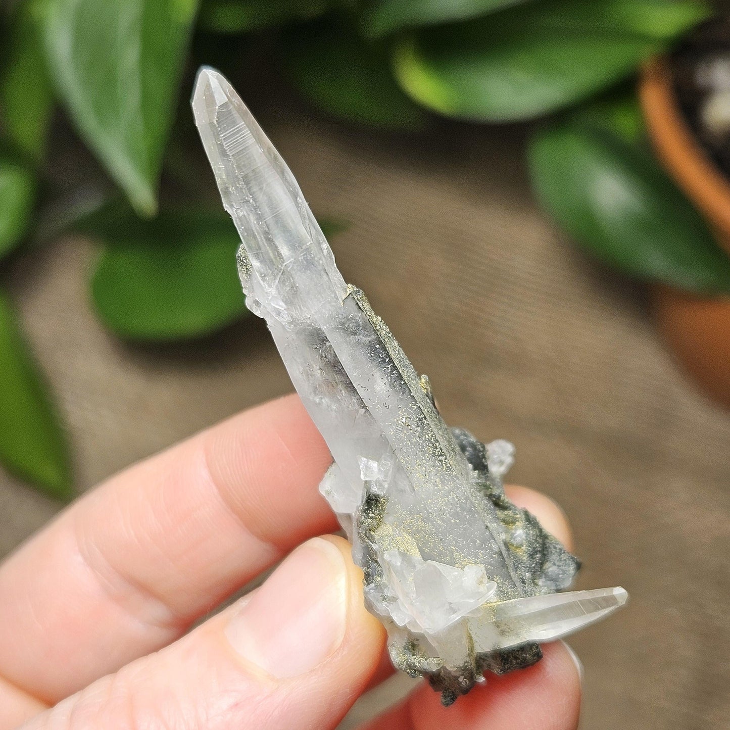 Ganesh Himal Quartz Crystal with Green Chlorite (65mm x25mm): Manifestation Crystal Inclusion, Tessin Habit Quartz, Prasem Crystal
