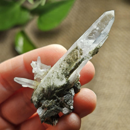 Ganesh Himal Quartz Crystal with Green Chlorite (65mm x25mm): Manifestation Crystal Inclusion, Tessin Habit Quartz, Prasem Crystal