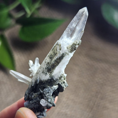 Ganesh Himal Quartz Crystal with Green Chlorite (65mm x25mm): Manifestation Crystal Inclusion, Tessin Habit Quartz, Prasem Crystal