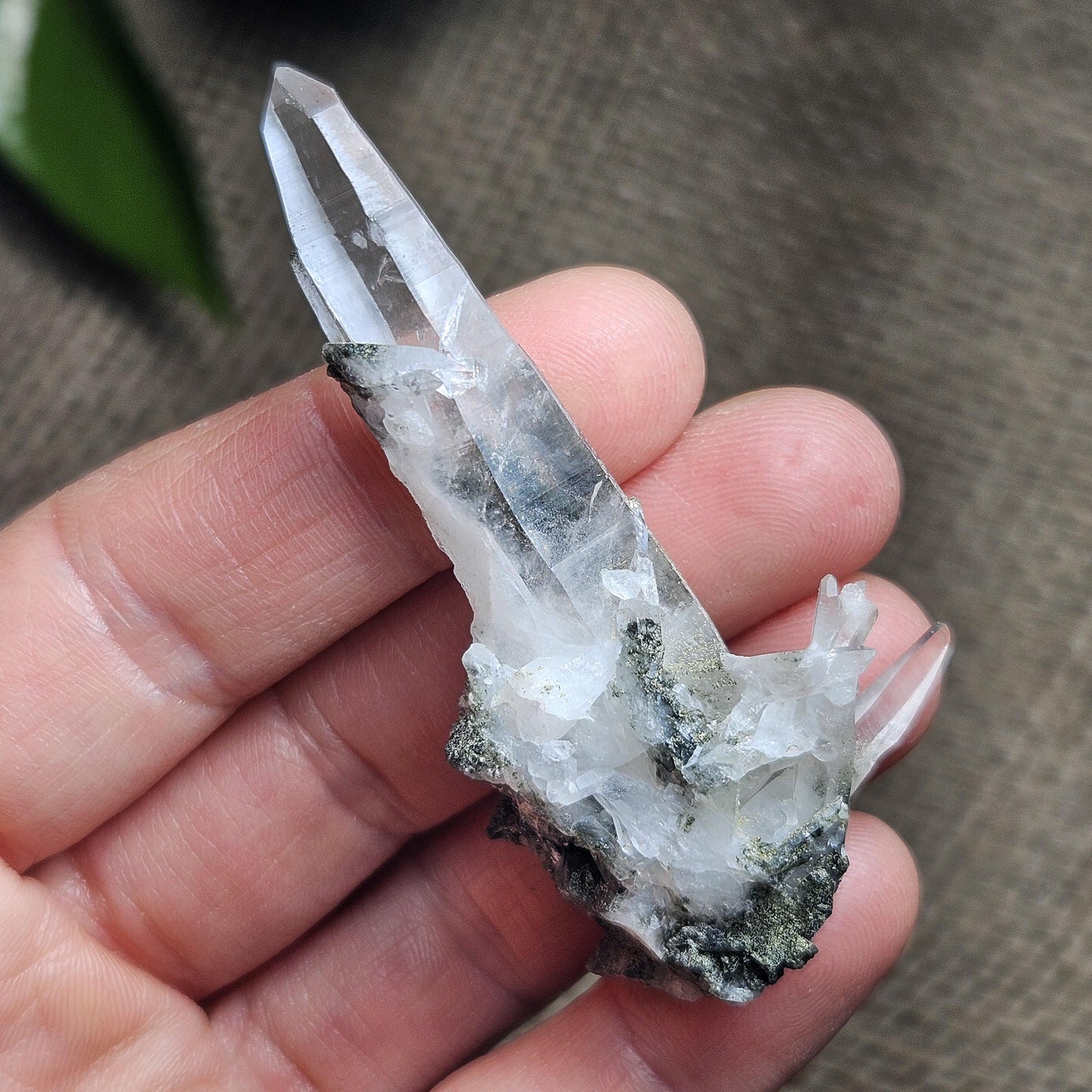 Ganesh Himal Quartz Crystal with Green Chlorite (65mm x25mm): Manifestation Crystal Inclusion, Tessin Habit Quartz, Prasem Crystal