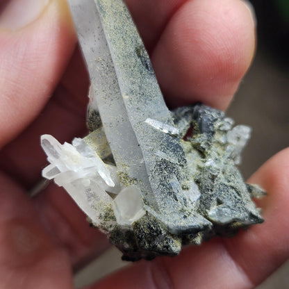 Ganesh Himal Quartz Crystal with Green Chlorite (65mm x25mm): Manifestation Crystal Inclusion, Tessin Habit Quartz, Prasem Crystal