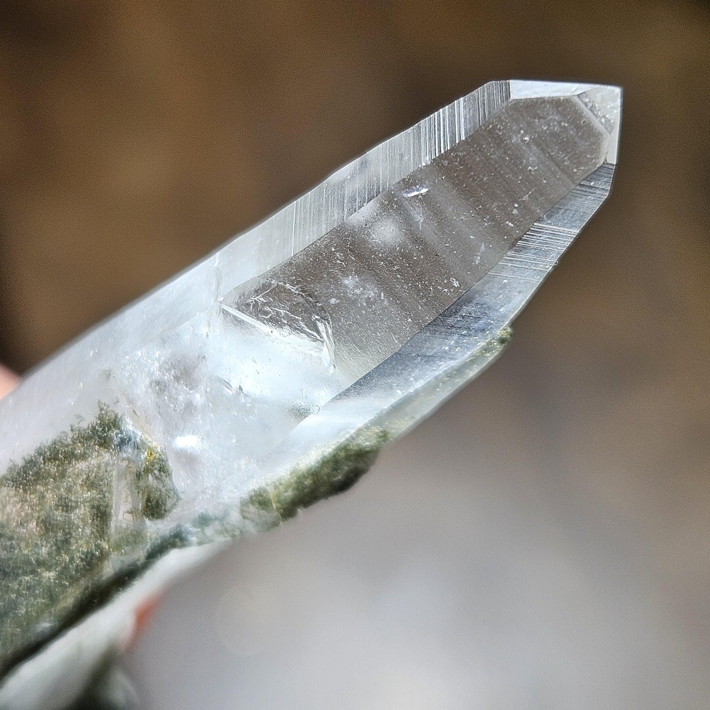 Ganesh Himal Quartz Crystal with Green Chlorite (65mm x25mm): Manifestation Crystal Inclusion, Tessin Habit Quartz, Prasem Crystal