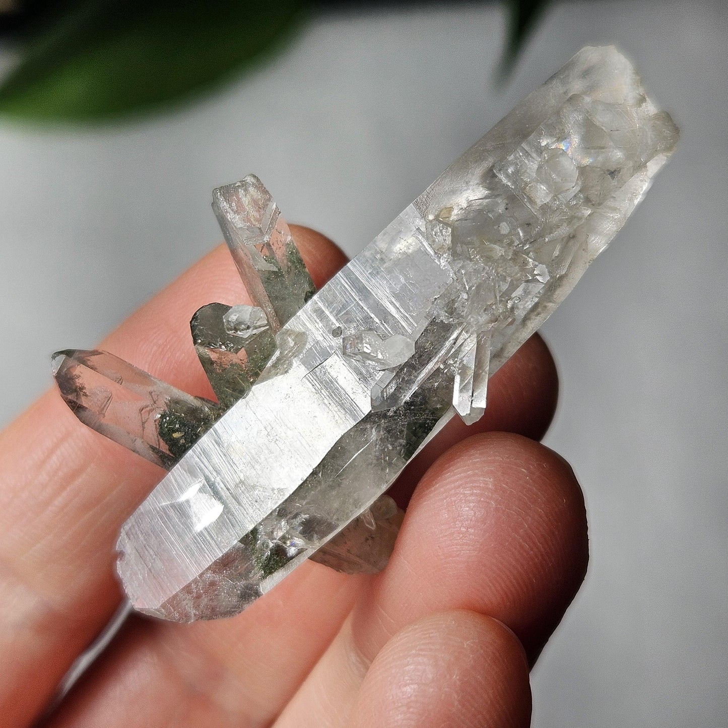 Ganesh Himal Manifestation Nepalese Quartz Crystal with Green Chlorite (65mm x25mm):  Prasem Crystal