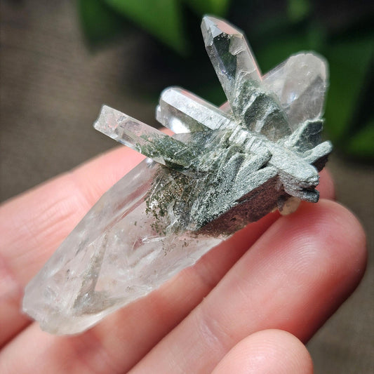 Ganesh Himal Manifestation Nepalese Quartz Crystal with Green Chlorite (65mm x25mm):  Prasem Crystal