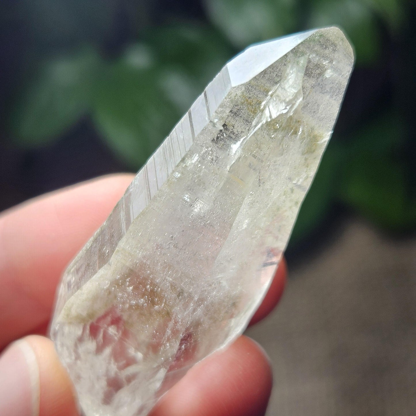 Ganesh Himal Quartz Crystal with Green Chlorite (60mm x 20mm): Himalayan Quartz Crystal