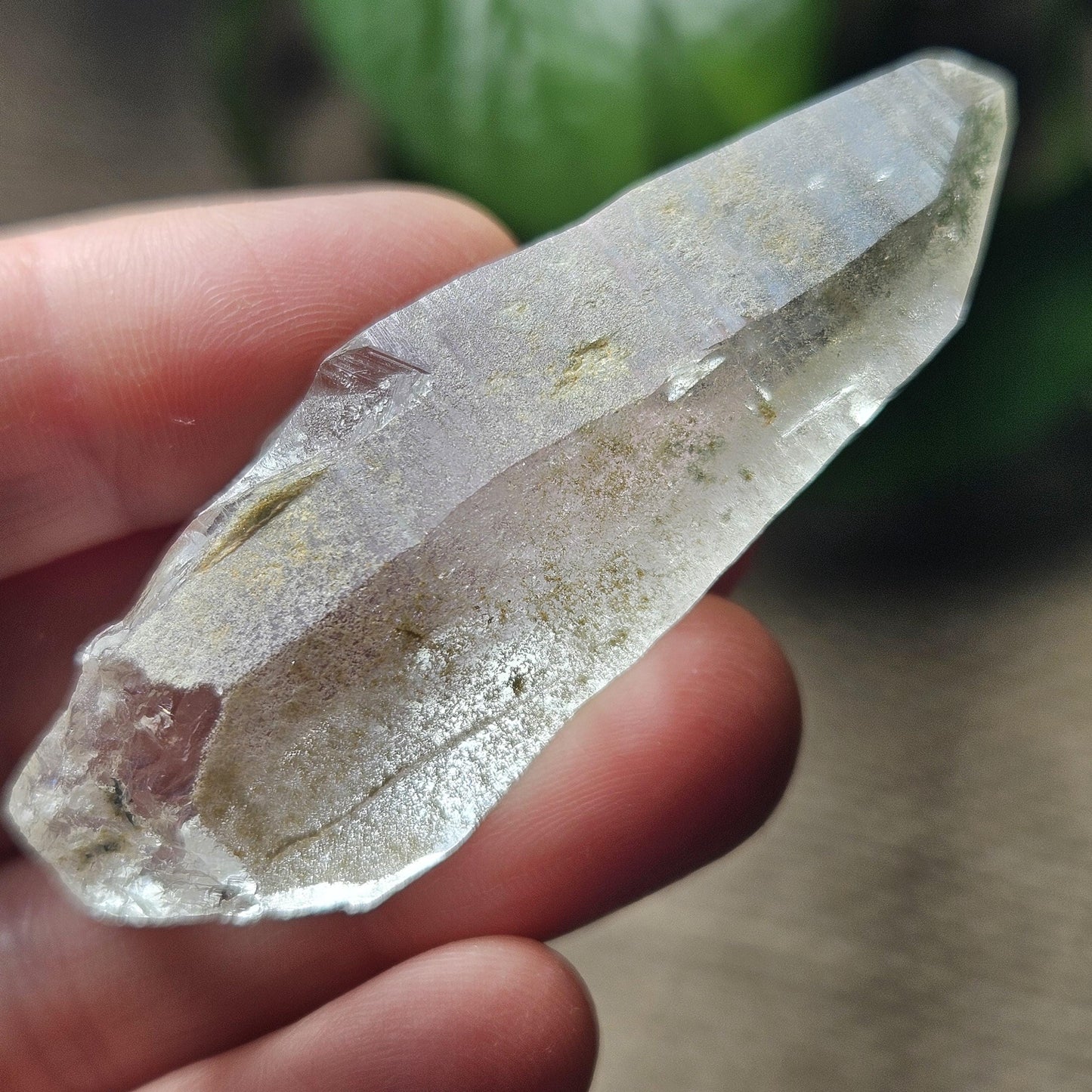 Ganesh Himal Quartz Crystal with Green Chlorite (60mm x 20mm): Himalayan Quartz Crystal