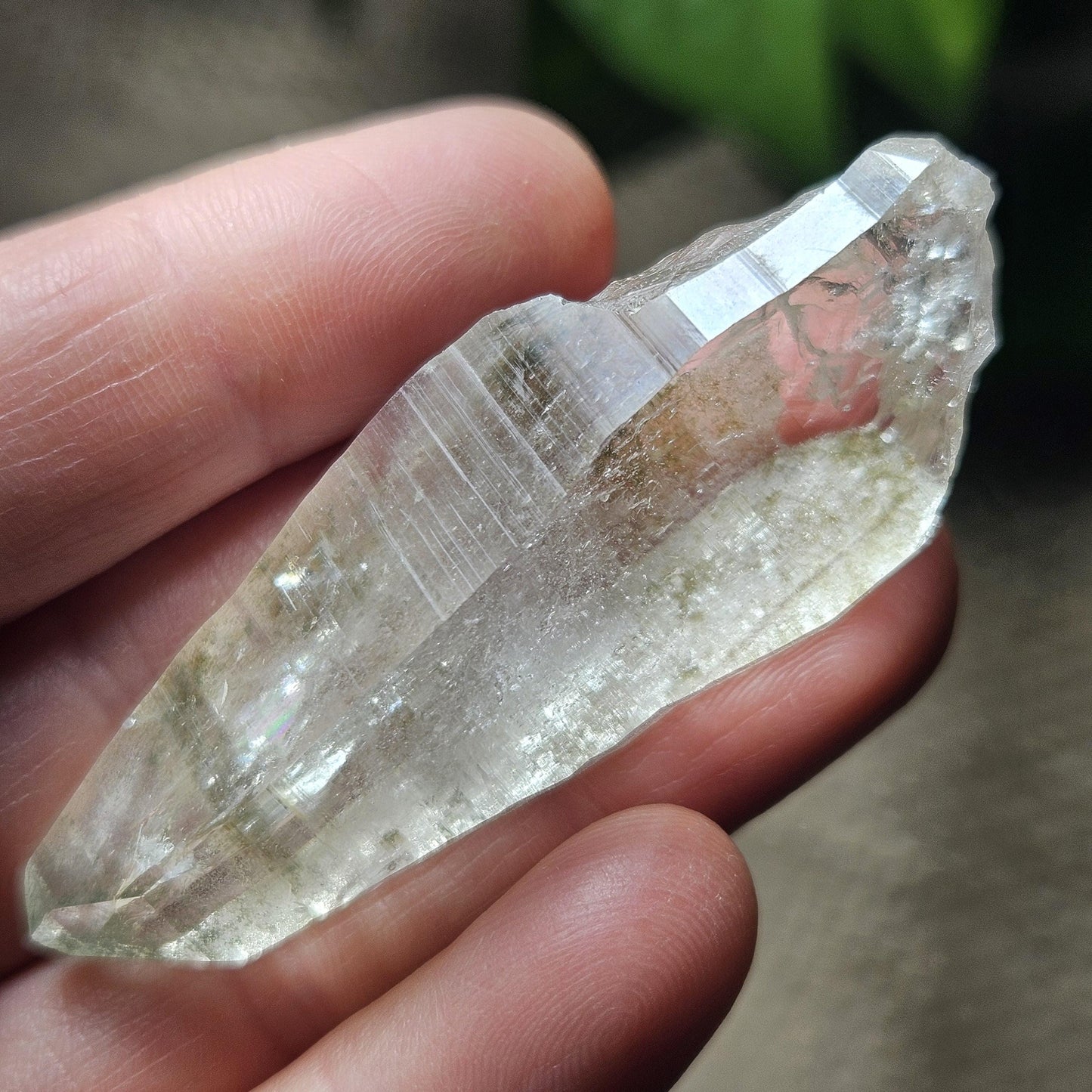Ganesh Himal Quartz Crystal with Green Chlorite (60mm x 20mm): Himalayan Quartz Crystal