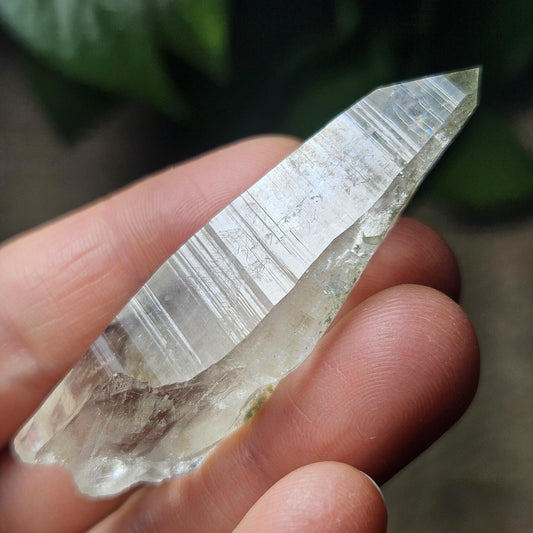 Ganesh Himal Quartz Crystal with Green Chlorite (60mm x 20mm): Himalayan Quartz Crystal