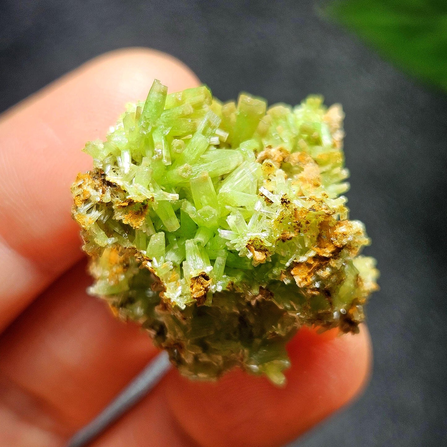 Starburst Pyromorphite Crystal, Rare Green Pseudomorph Specimen (30x27mm)