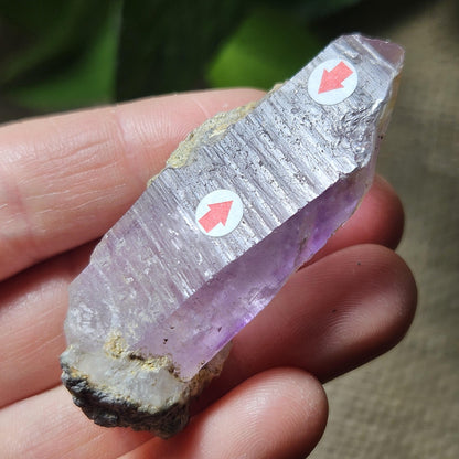 Enhydro Amethyst Crystal, Two MOVING Water Bubbles (28g)
