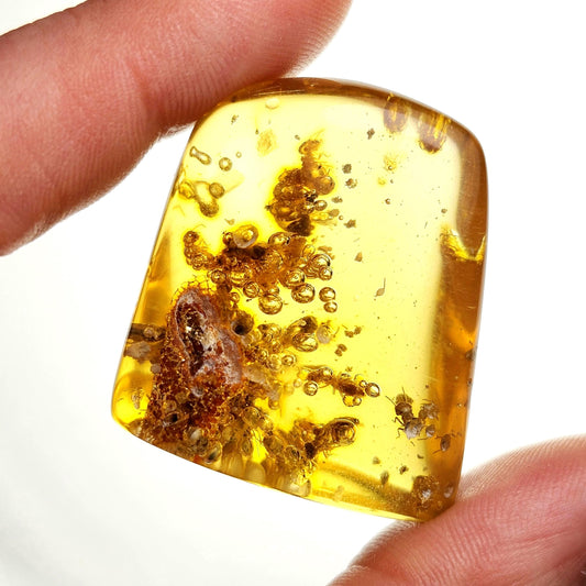 Amber with Termites & Static Enhydro Bubbles 12.8g