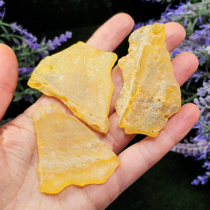 Natural Amber Specimen