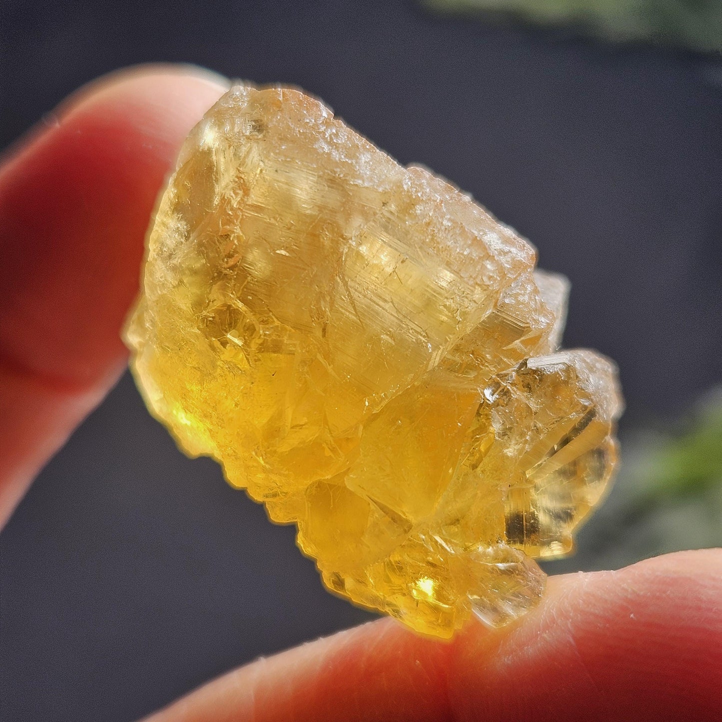 Cubic Yellow Fluorite Crystals from Morocco