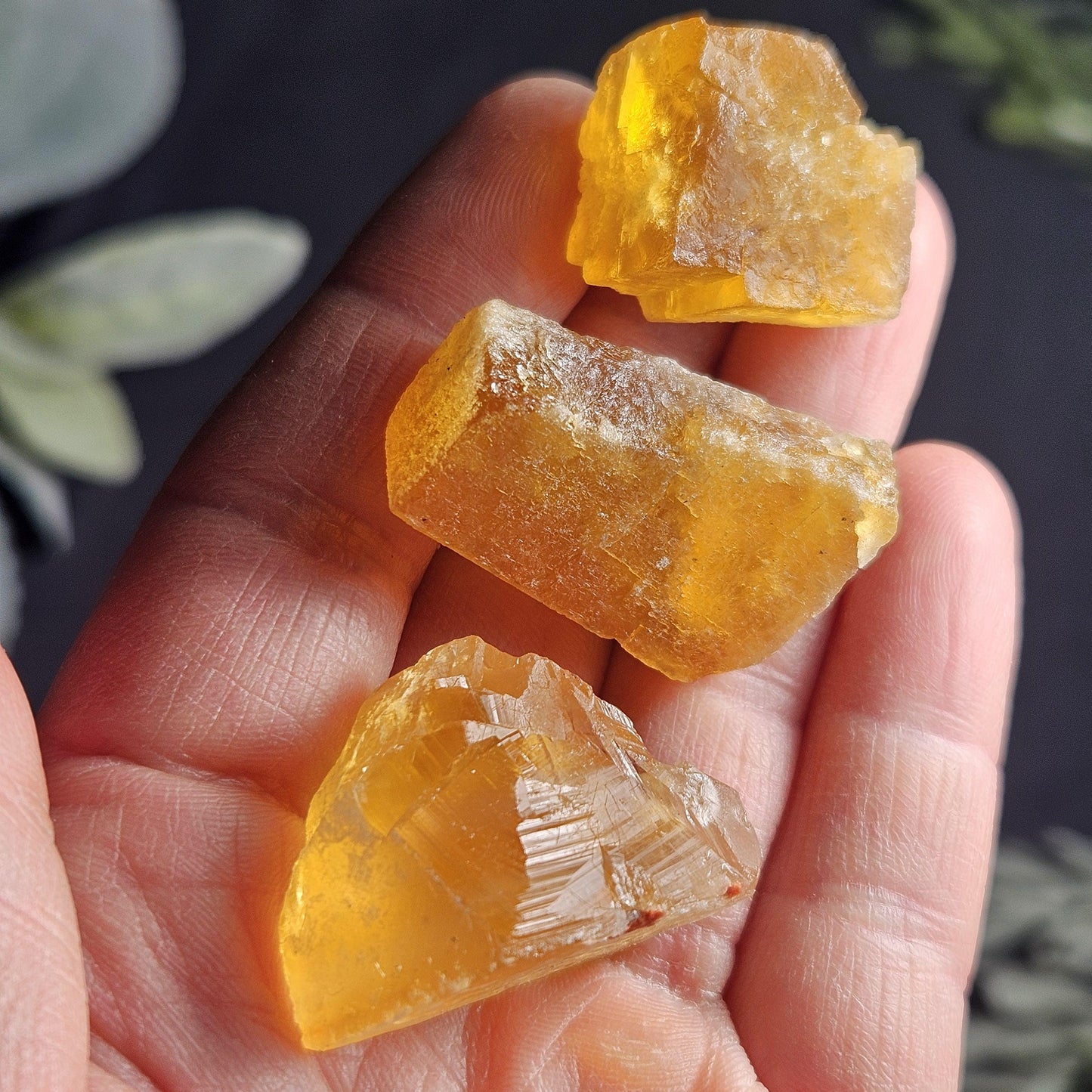 Cubic Yellow Fluorite Crystals from Morocco