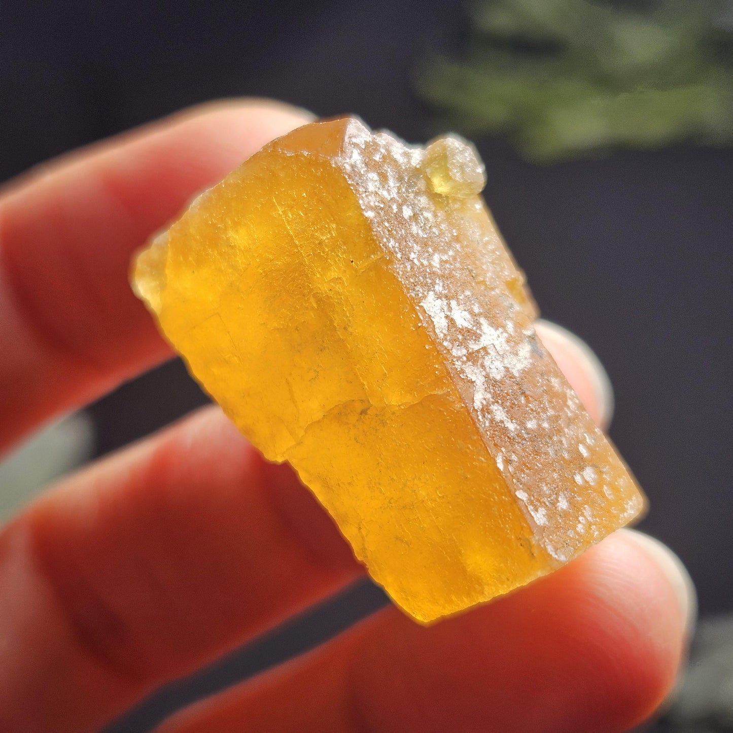 Cubic Yellow Fluorite Crystals from Morocco