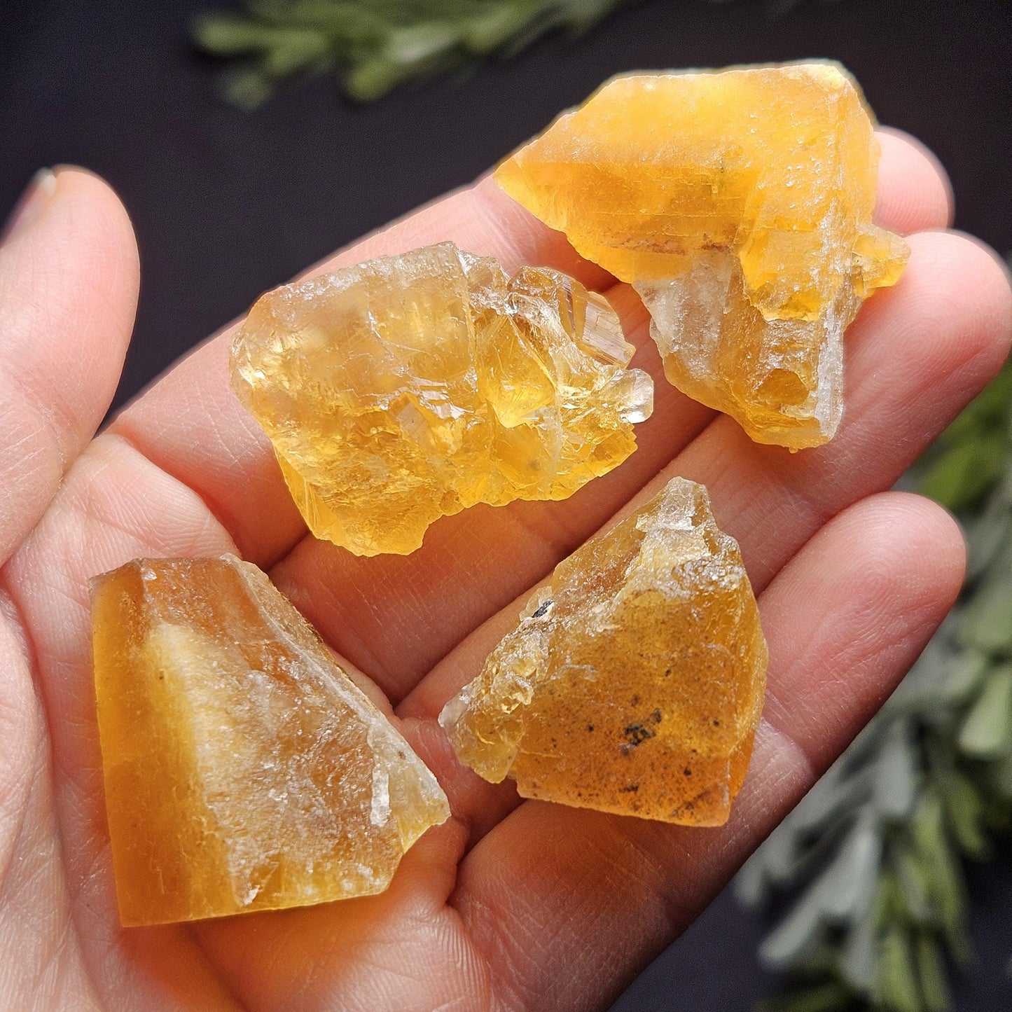 Cubic Yellow Fluorite Crystals from Morocco
