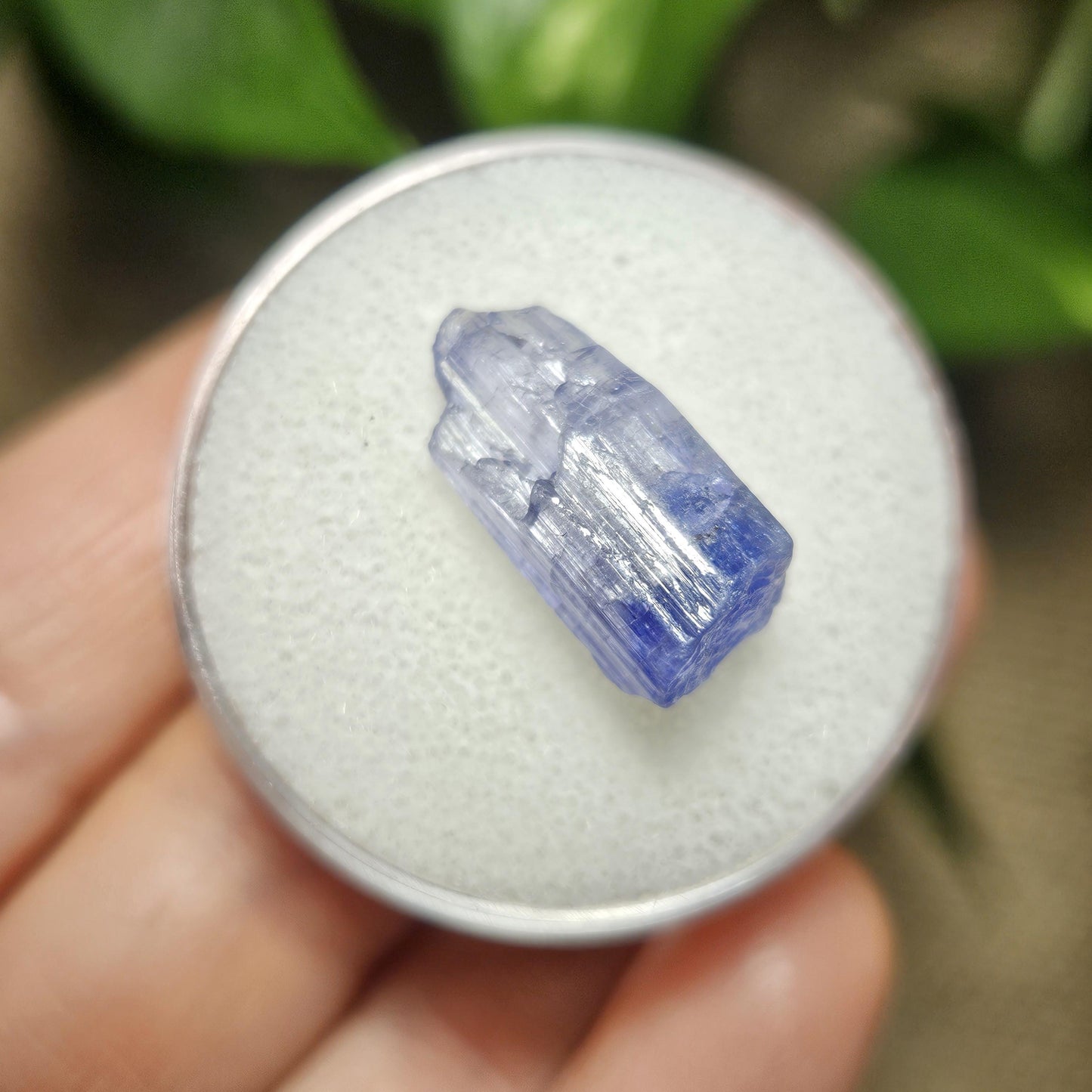 Tanzanite Bicolor Terminated Crystal 2.16g