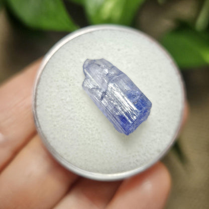 Tanzanite Terminated Crystal 2.16g, Natural Raw Tanzanite Stone Specimen