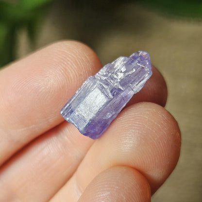 Tanzanite Bicolor Terminated Crystal 2.16g