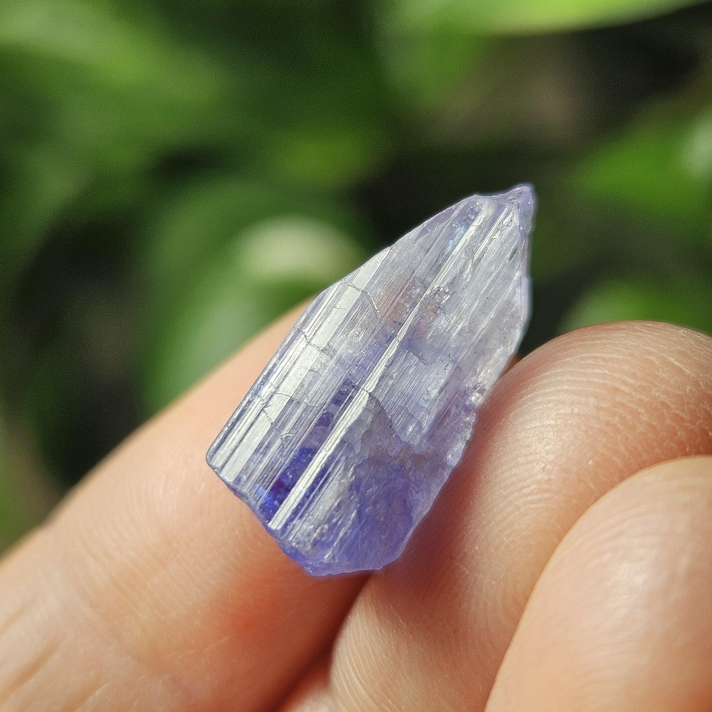 Tanzanite Bicolor Terminated Crystal 2.16g