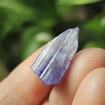 Tanzanite Bicolor Terminated Crystal 2.16g