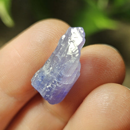 Tanzanite Bicolor Terminated Crystal 2.16g