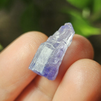 Tanzanite Bicolor Terminated Crystal 2.16g