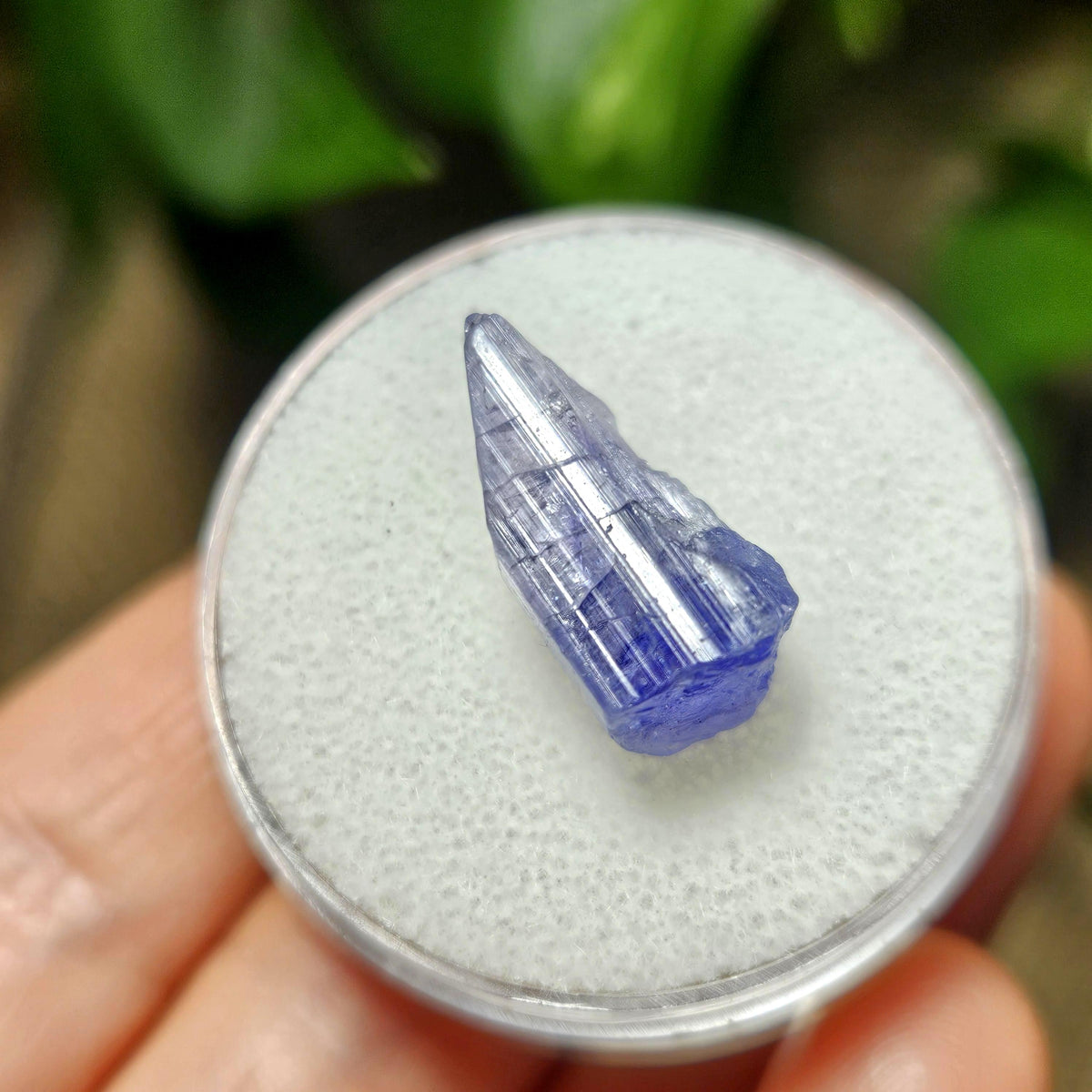 Tanzanite Terminated Crystal 2.16g, Natural Raw Tanzanite Stone Specimen