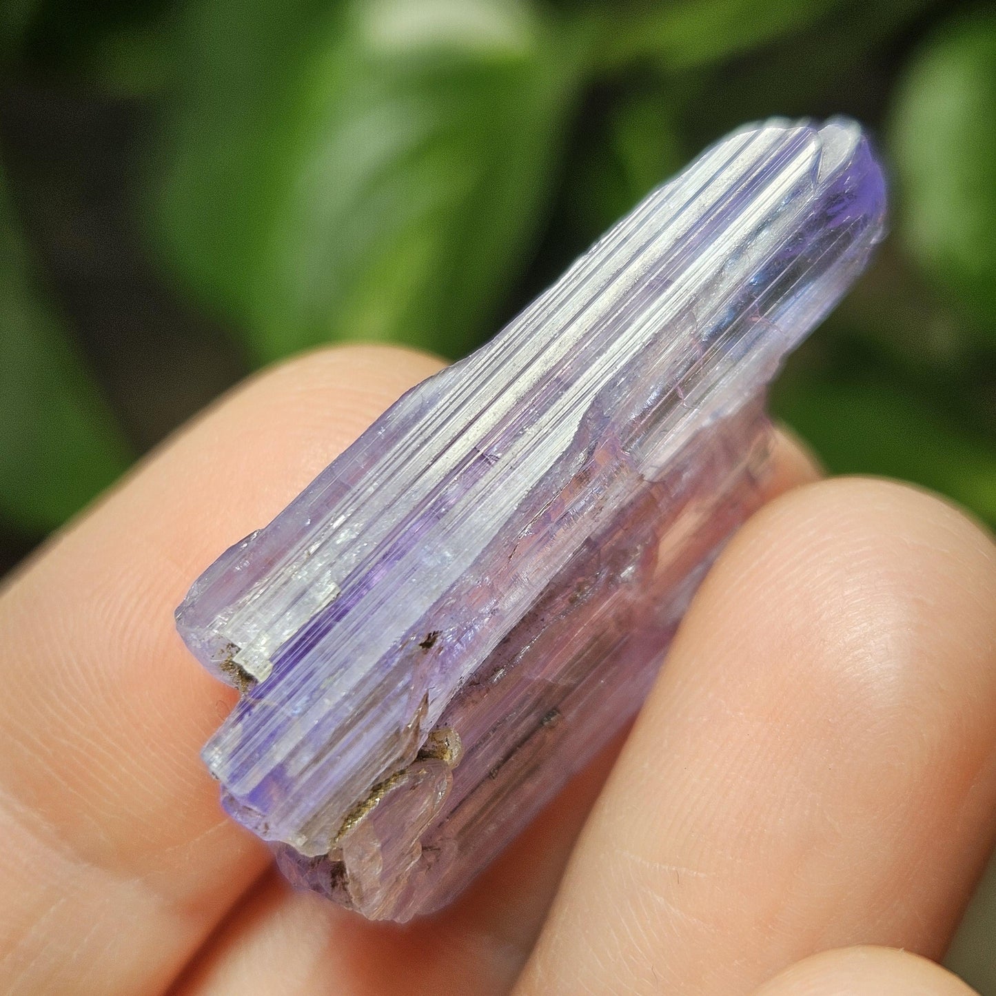 Tanzanite Terminated Crystal 6.28g
