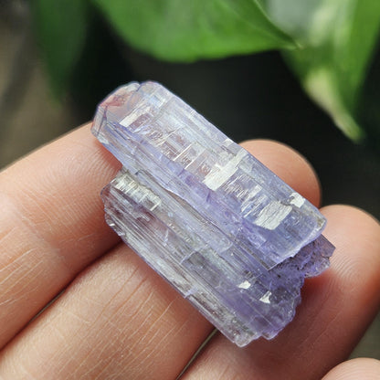 Tanzanite Terminated Crystal 6.28g