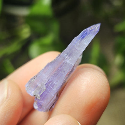 Tanzanite Terminated Crystal 6.28g