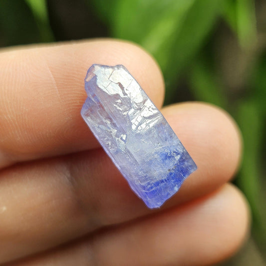 Tanzanite Bicolor Terminated Crystal 2.16g