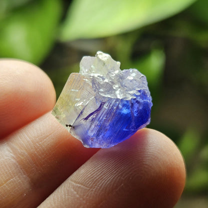 Bicolor Tanzanite Crystal (2.54g)