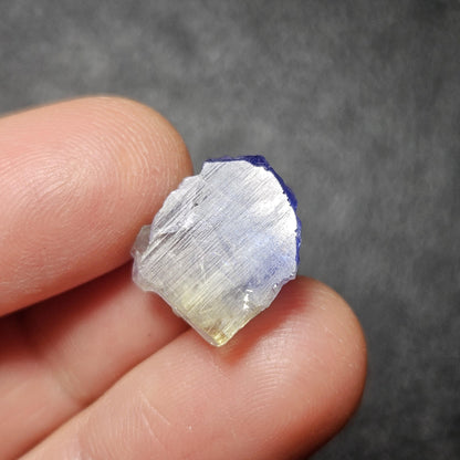 Bicolor Tanzanite Crystal (2.54g)