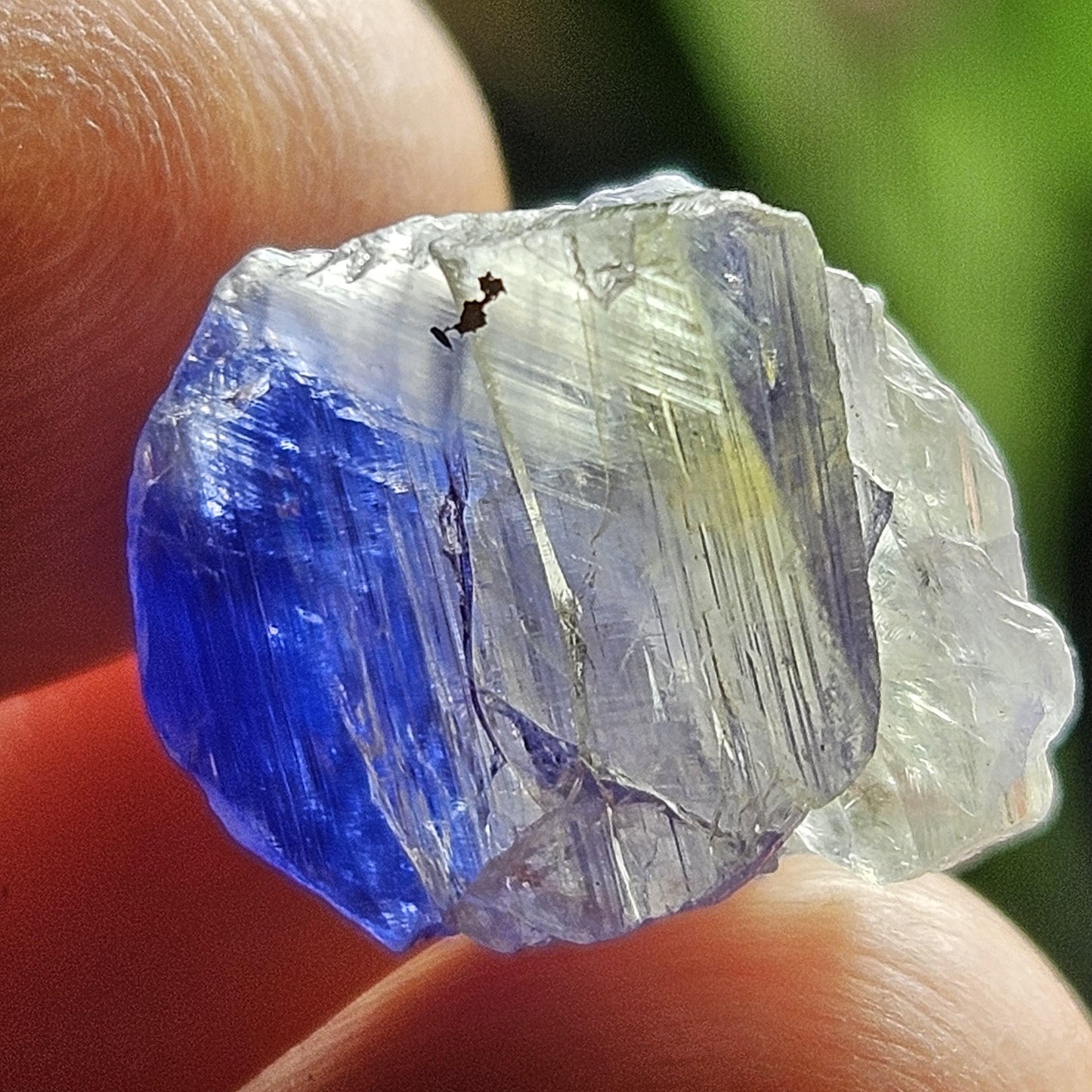 Bicolor Tanzanite Crystal (2.54g)