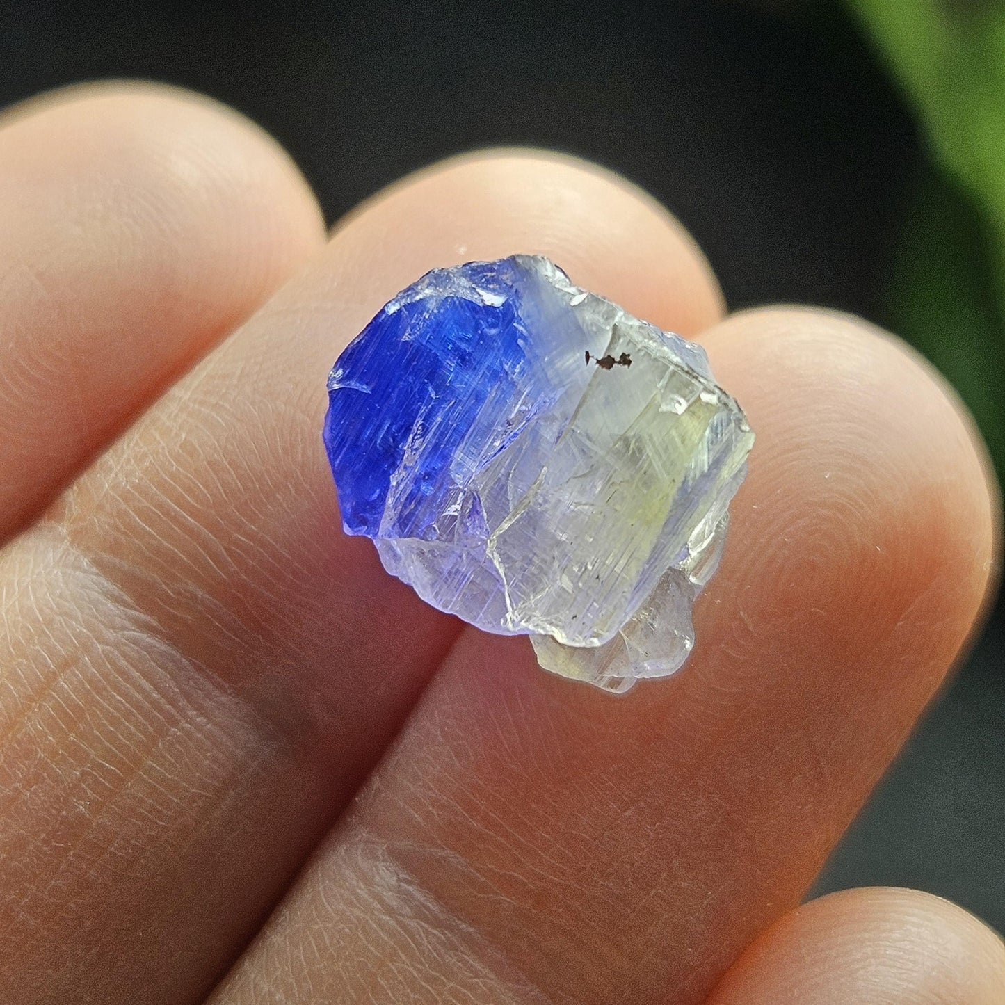 Bicolor Tanzanite Crystal (2.54g)