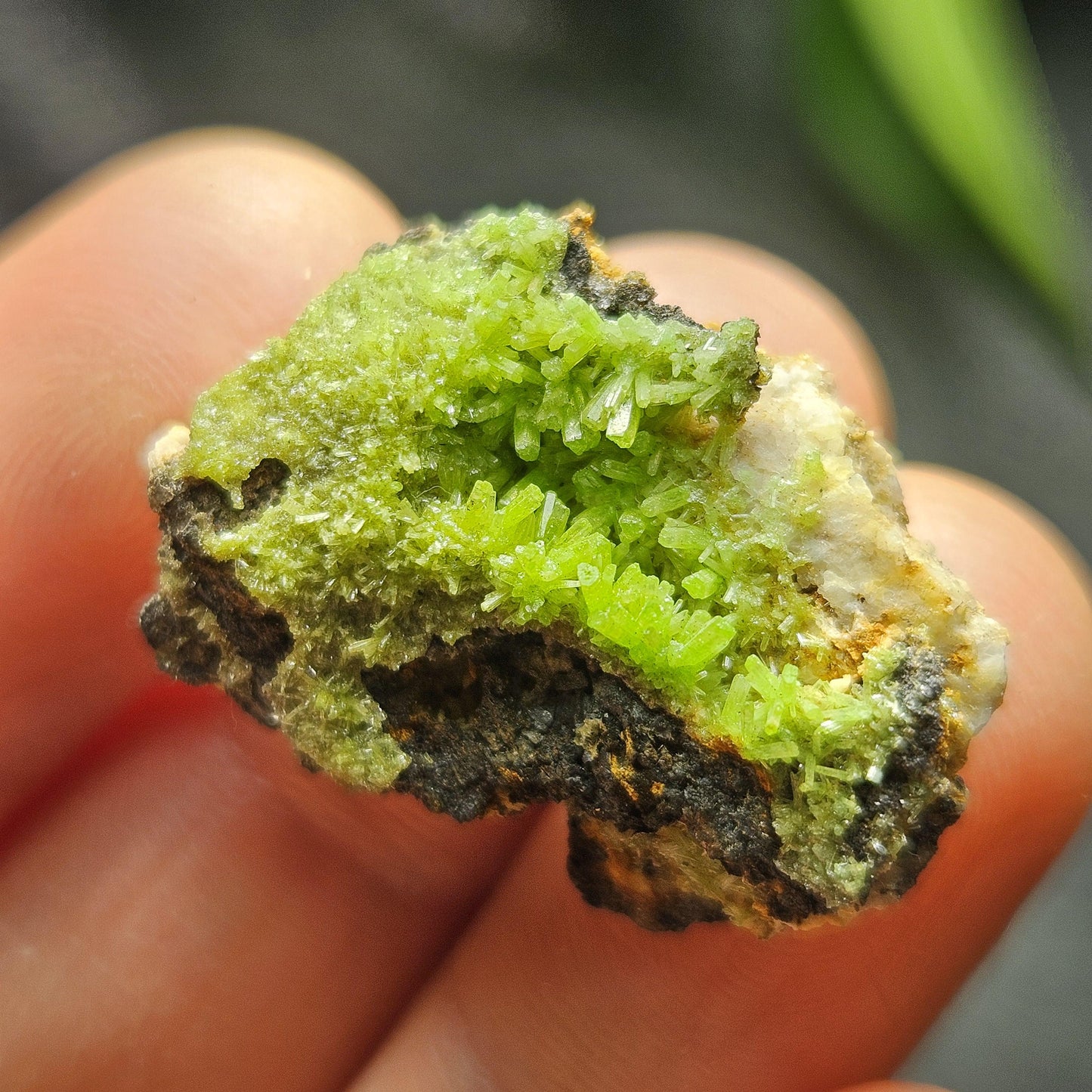 Pyromorphite Crystal Cluster, Rare Green Pseudomorph Specimen (25x19mm)