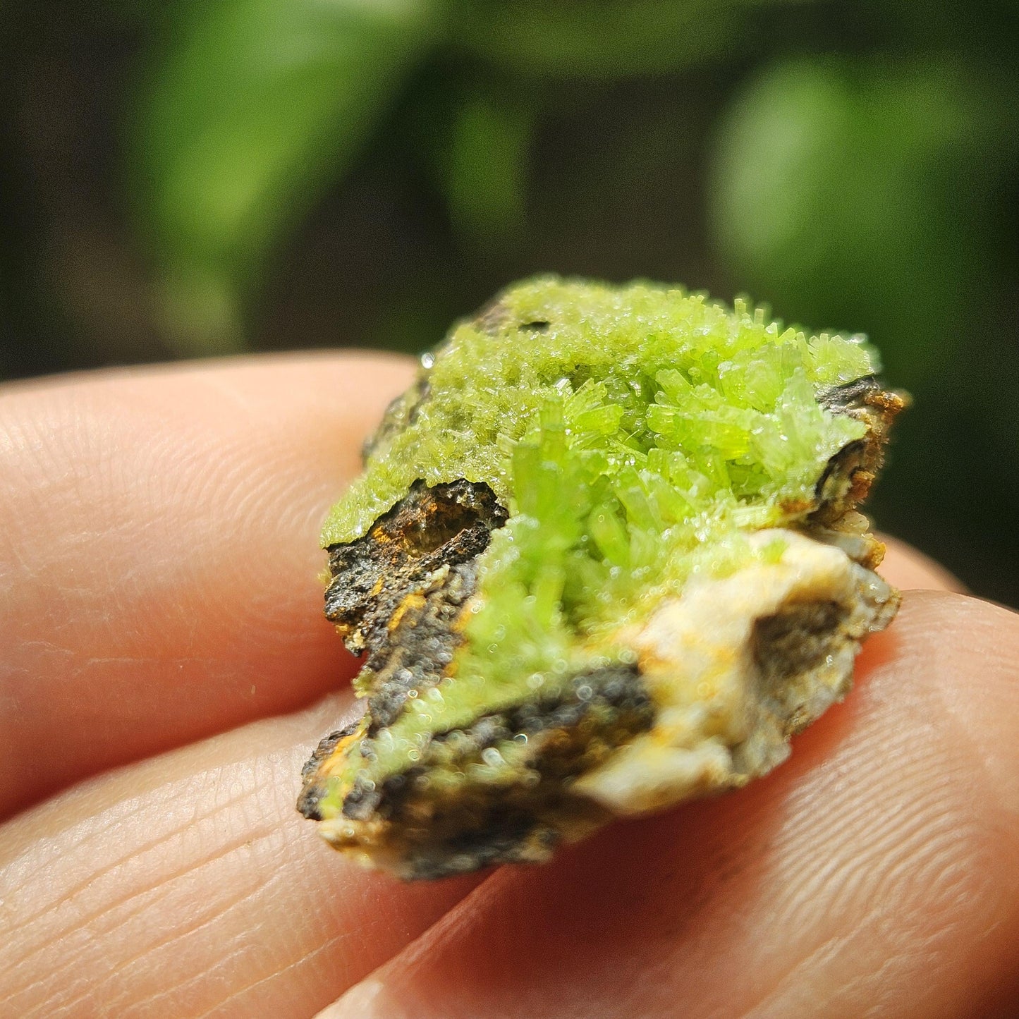 Pyromorphite Crystal Cluster, Rare Green Pseudomorph Specimen (25x19mm)