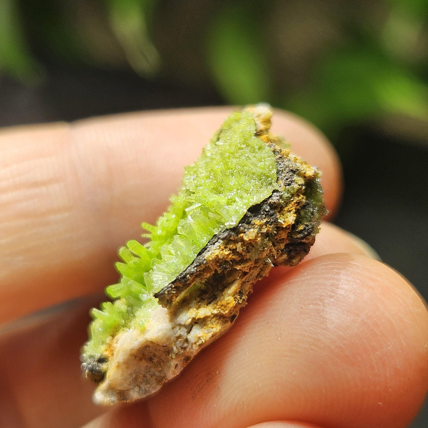 Pyromorphite Crystal Cluster, Rare Green Pseudomorph Specimen (25x19mm)