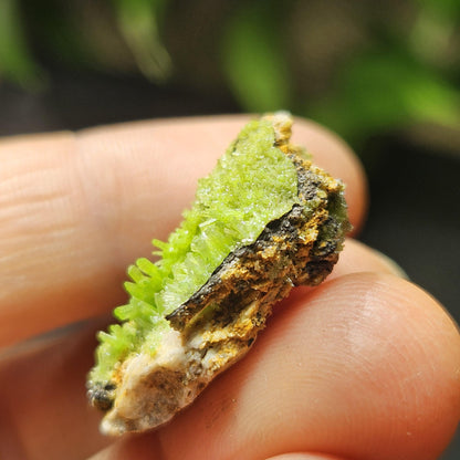 Pyromorphite Crystal Cluster, Rare Green Pseudomorph Specimen (25x19mm)