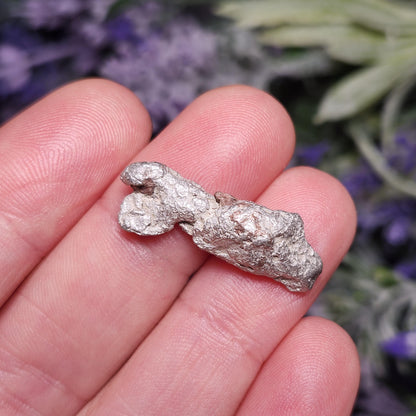 Michigan "Halfbreed" Silver Nugget 5g
