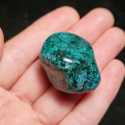 Polished Dioptase Crystal from the Congo 38.36g, Congo Dioptase Specimen, DRC Dioptase Crystal