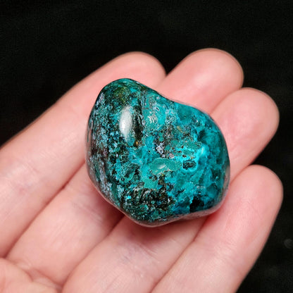 Polished Dioptase Crystal from the Congo 38.36g, Congo Dioptase Specimen, DRC Dioptase Crystal