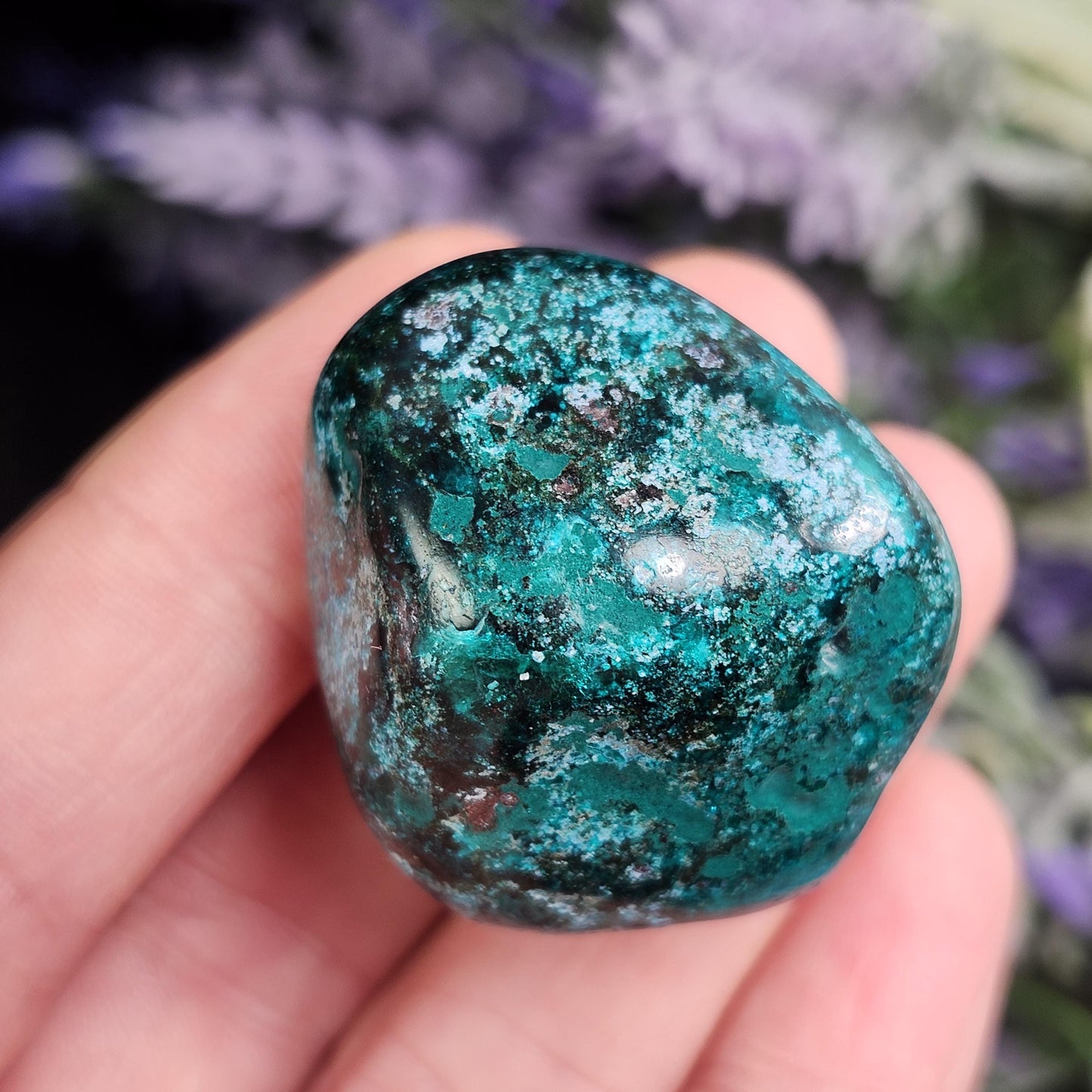 Polished Dioptase Crystal from the Congo 38.36g, Congo Dioptase Specimen, DRC Dioptase Crystal